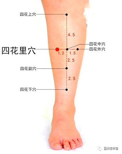 四花中|四花外穴 